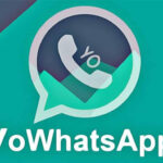 Download Aplikasi yowhatsapp