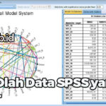 Cara Olah Data SPSS yang Benar