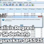 Uji Analisis Regresi Linear Sederhana Menggunakan SPSS 25
