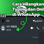 Cara Hilangkan Tanda Typing dan Online di WhatsApp