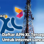 Daftar APN XL Tercepat Untuk Internet Lancar