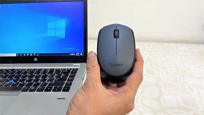 Logitech mouse M171