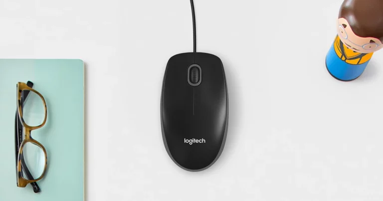 Mouse Logitech B100