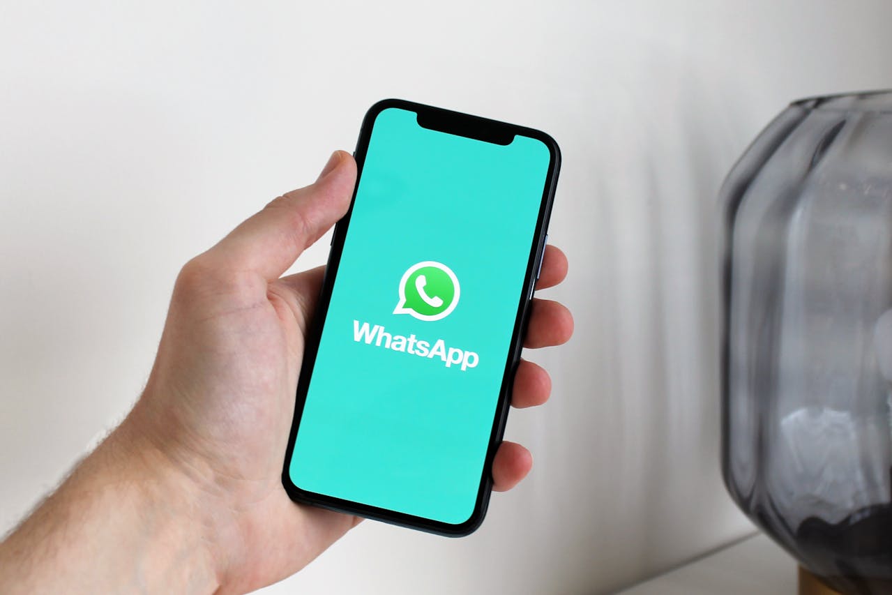 bulk WhatsApp sender 