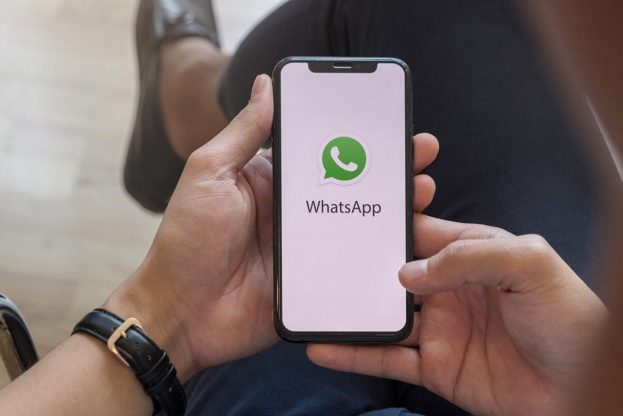 bulk WhatsApp sender 