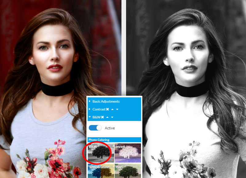 edit foto vintage online
