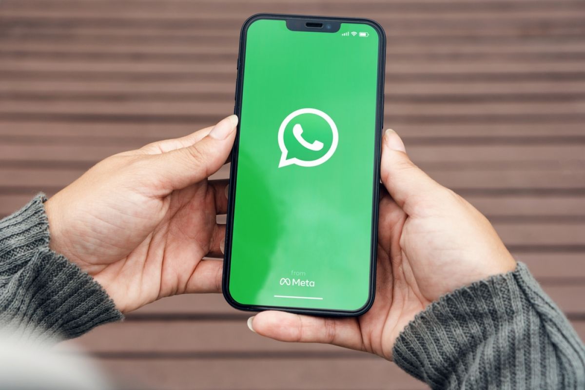 cara buat auto chat whatsapp