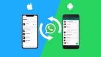 cara transfer data WhatsApp dari Android ke iPhone