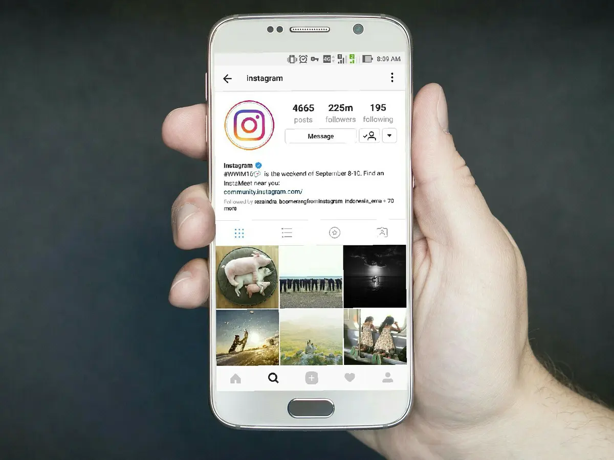 kata-kata untuk bio IG