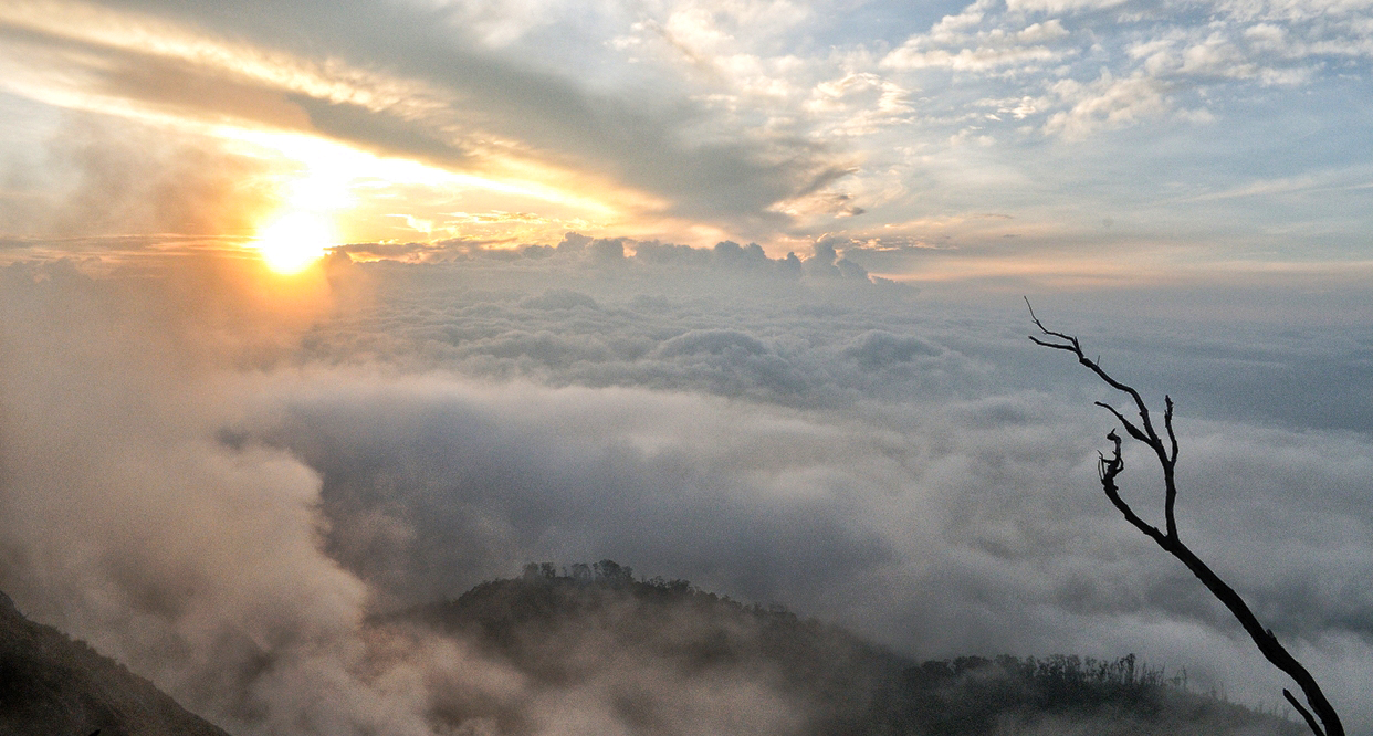 Tema Nature Wallpaper