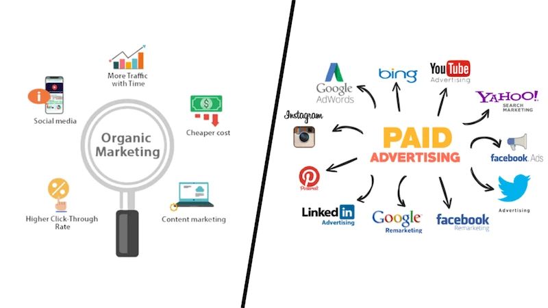 Perbedaan Organic Reach vs Paid Reach: Mana Lebih Efektif?